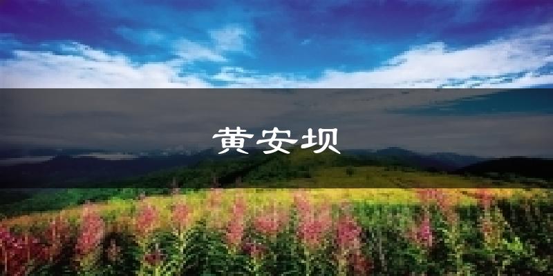 天津津南黃安壩天氣預(yù)報未來一周