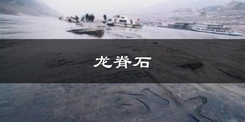 龍脊石氣溫