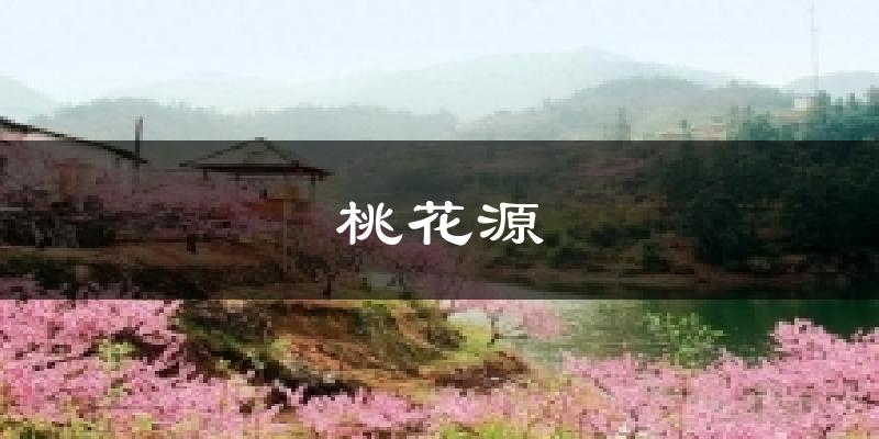 天津塘沽桃花源天氣預(yù)報未來一周