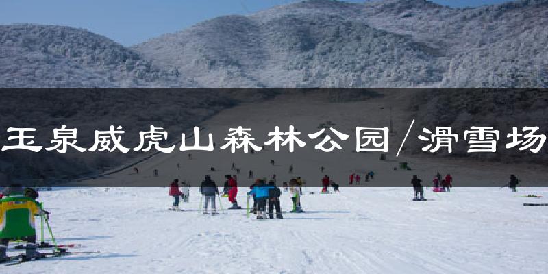 玉泉威虎山森林公園/滑雪場氣溫