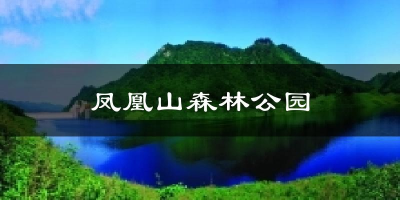 靜海鳳凰山森林公園天氣預(yù)報(bào)未來一周